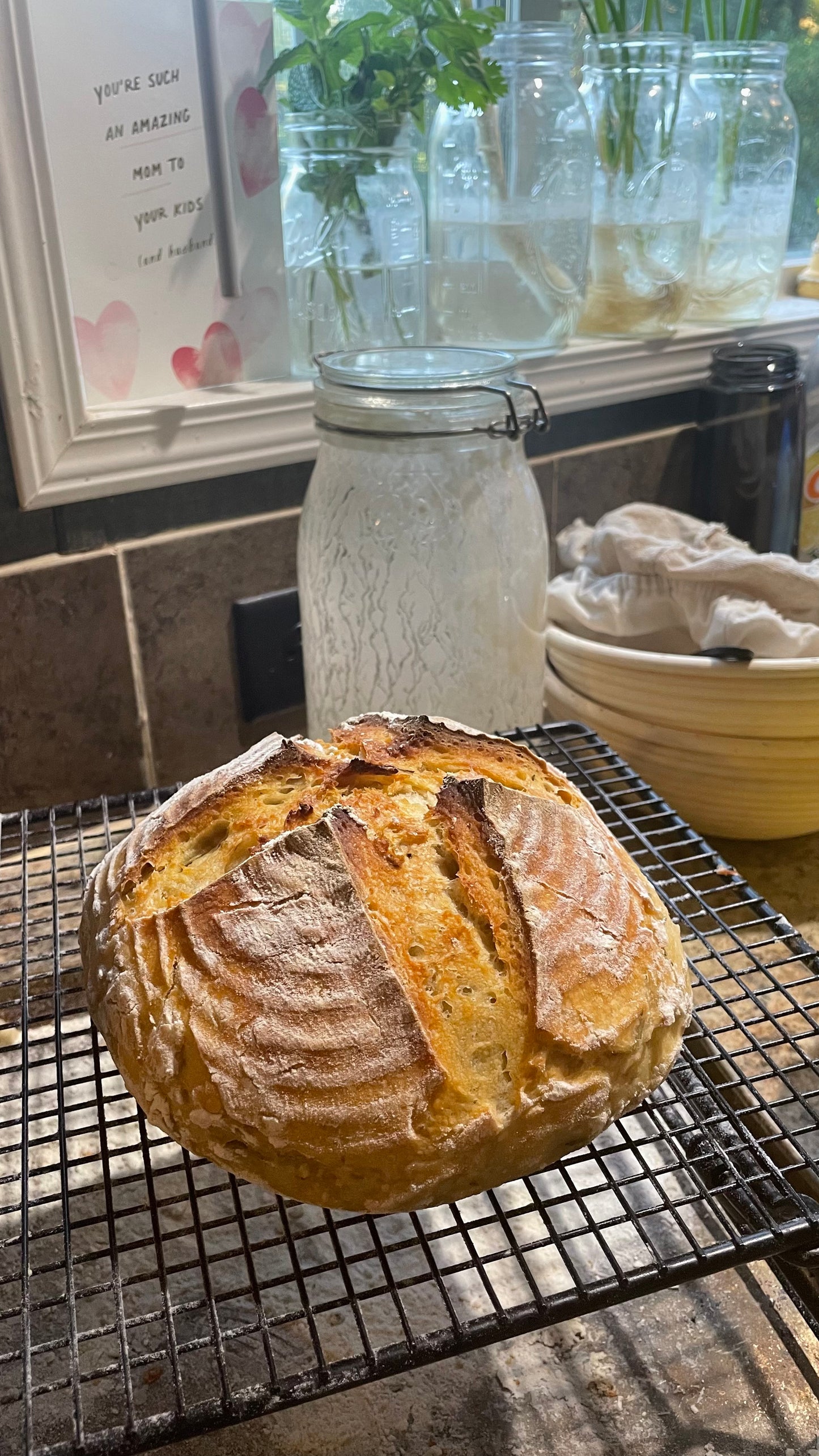 Sourdough 101 Class at Scherer Homestead Norman, OK